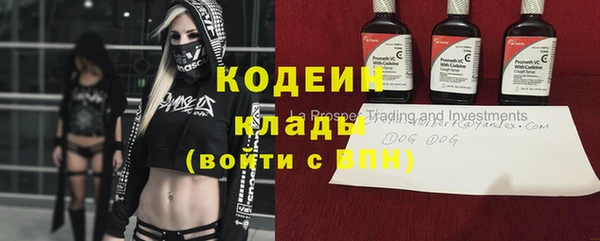 ГАЛЛЮЦИНОГЕННЫЕ ГРИБЫ Дмитров