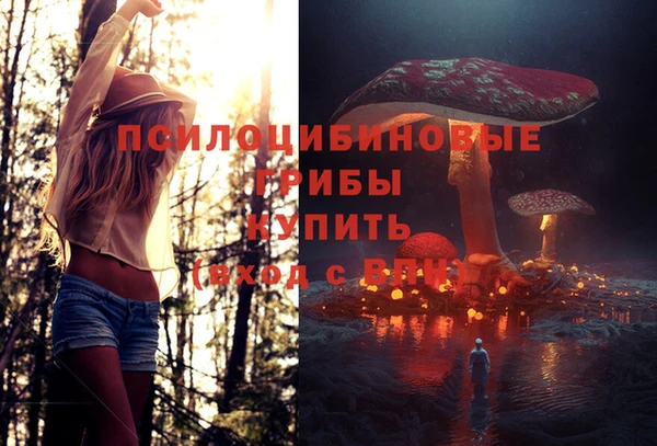 амфетамин Гусев
