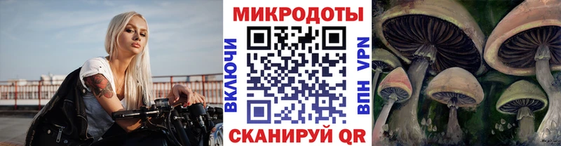 Галлюциногенные грибы Psilocybe  купить наркотики сайты  Сасово 