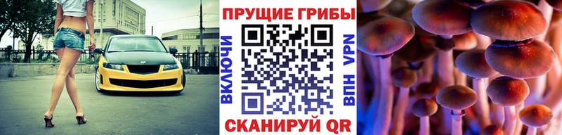 Галлюциногенные грибы прущие грибы Сасово